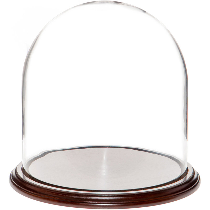 Vucciria 11.75" x 12" Glass Display Dome Cloche