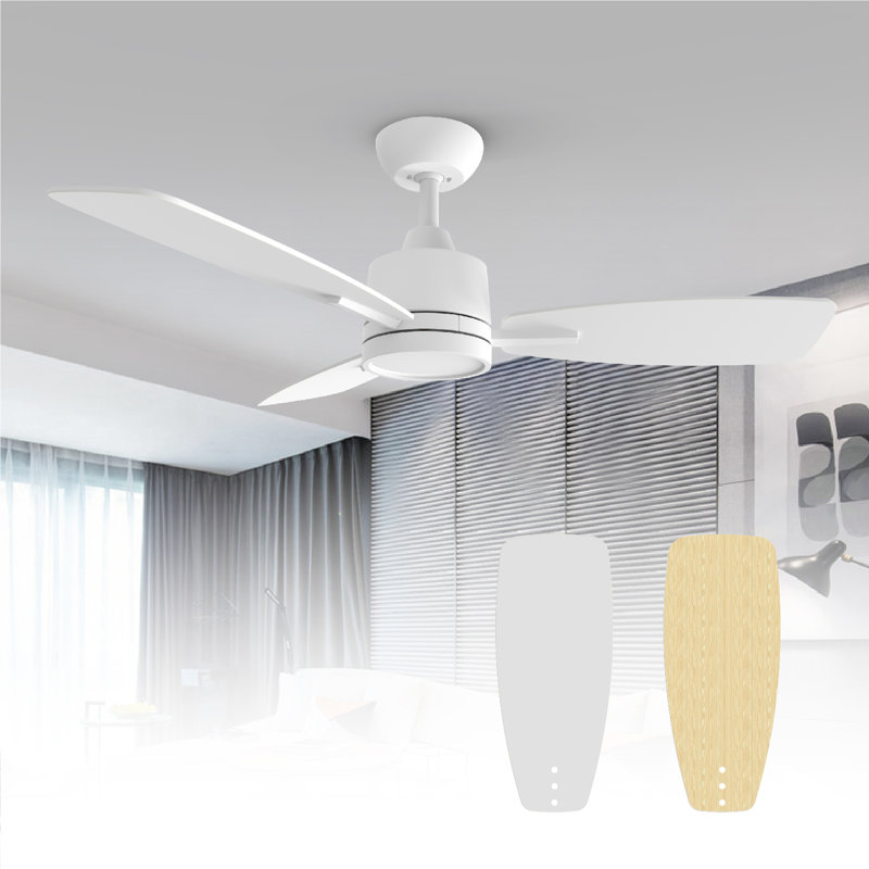 (Missing part) Emidia Standard Ceiling Fan with LED Lights Indoor