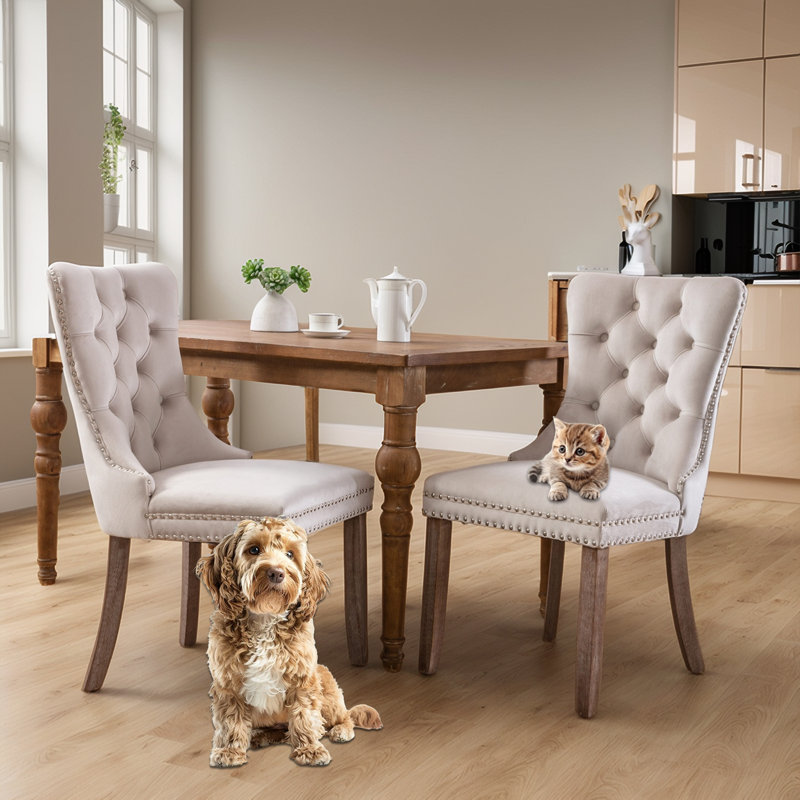 Modern Velvet Wingback Tufted Solid Wood Upholstered Dining Chairs (Set of 2)