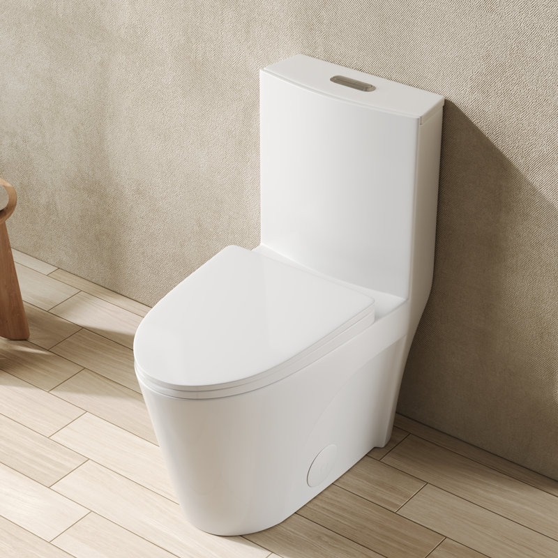 Ace 1.6 GPF Dual-Flush Toilet Modern Elongated One-Piece Toilet for Floor Mounted Glazed Surface (Seat Included) DV-1F52102