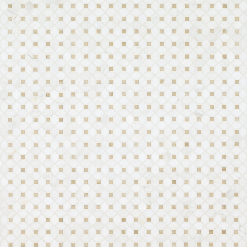 (10 pcs ) Bianco Dolomite 12.4 in. x 12.4 in. Polished Marble Mosaic Tile