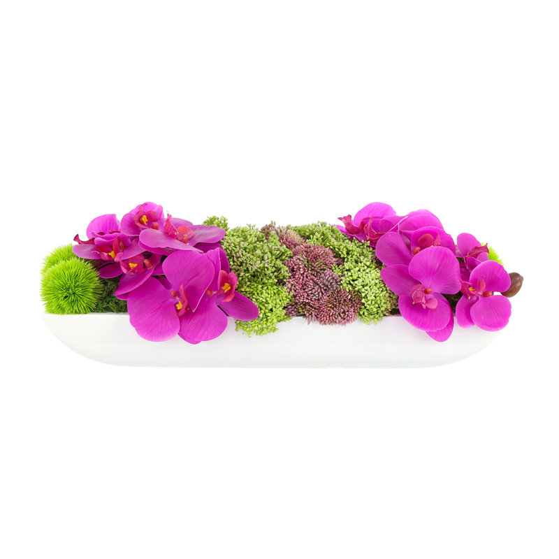 Adelina Orchid and Succulent Arrangement