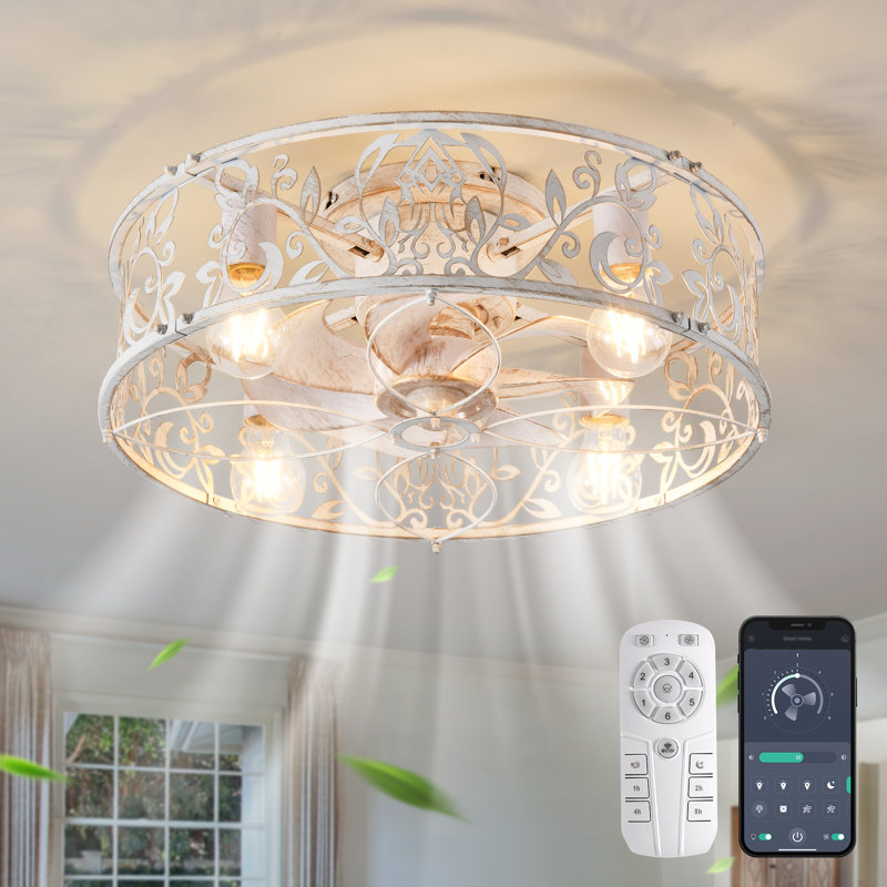 lopezville 20.1'' farmhouse reversible caged ceiling fan with light kit and remote