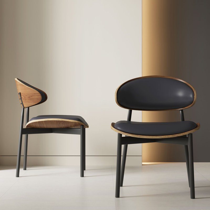 cathelijn 2-piece dining chair set (set of 2)