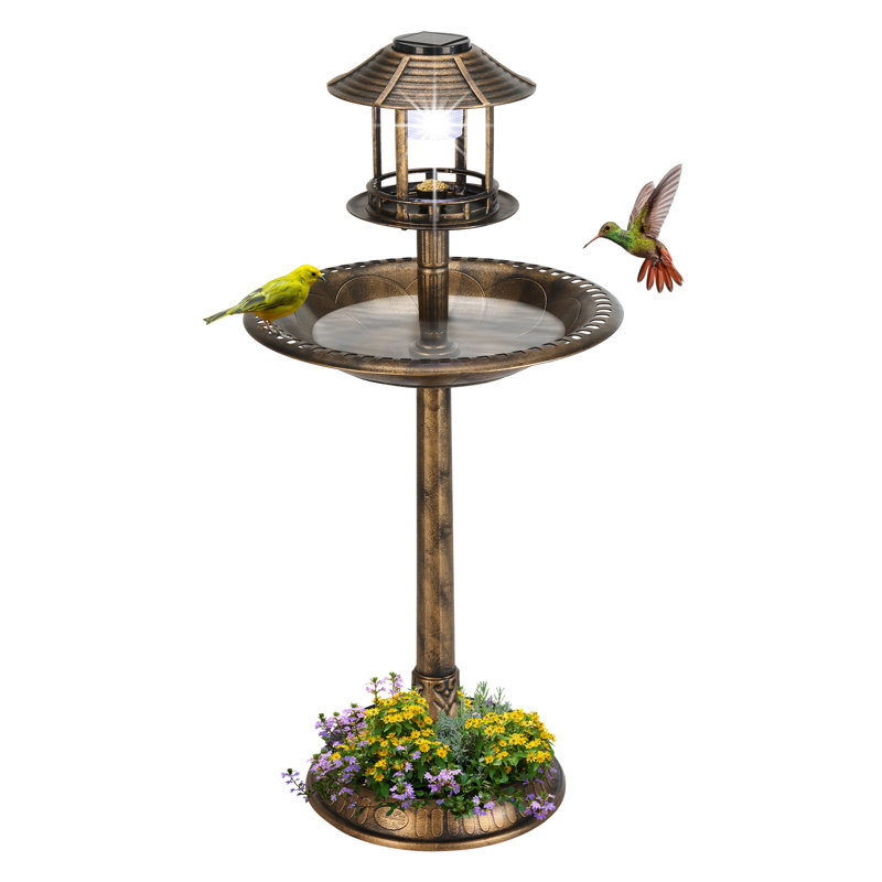 Hiles Resin Birdbath with Solar Light