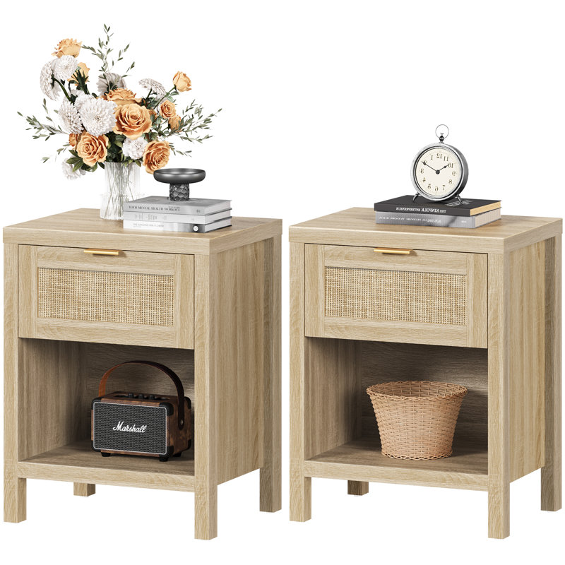 Alayha 19.7'' W Nightstand (Set of 1)