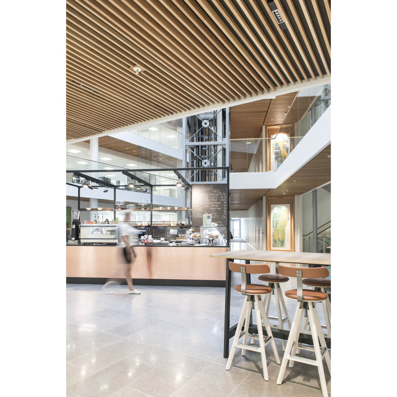 78.7in x 2in x 3.54in WPC Suspended Ceiling Tiles, Indoor Wood Plastic Composite Ceiling Panels w/ Suspension Kit (Set of 4)