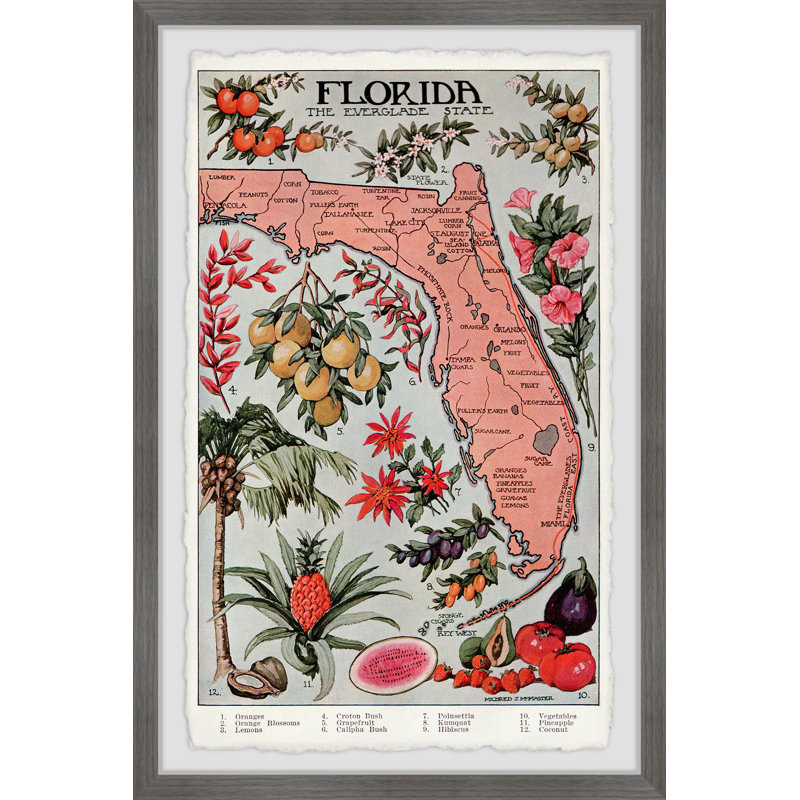 " Florida, The Everglade State III "