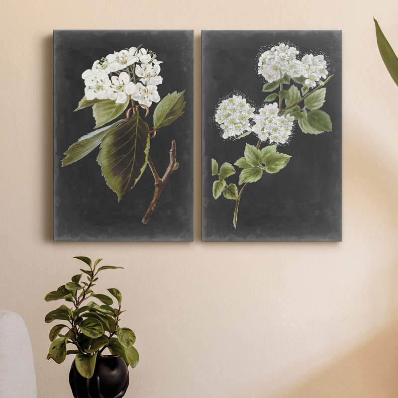 (Similar to stock photo) \" Dramatic White Flowers I \" 2 - Pieces Painting Print (Set of 2)