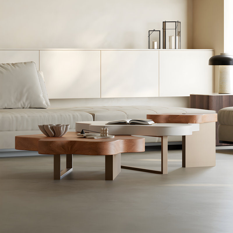 Callingwood Easy Installation Modern Luxury Cloud-Shaped Irregular Coffee Table Set