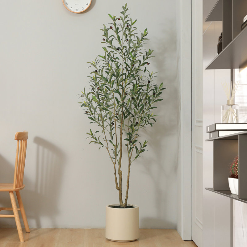 adcock faux olive tree in white planter, lifelike fake olive plant for indoor and outdoor decor incomplete 