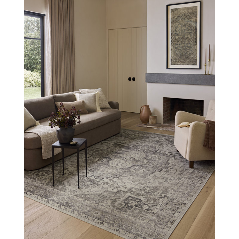 amber lewis x loloi machine washable josie silver / natural area rug