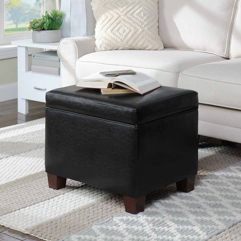 akifa 21.50" wide leather rectangle storage ottoman