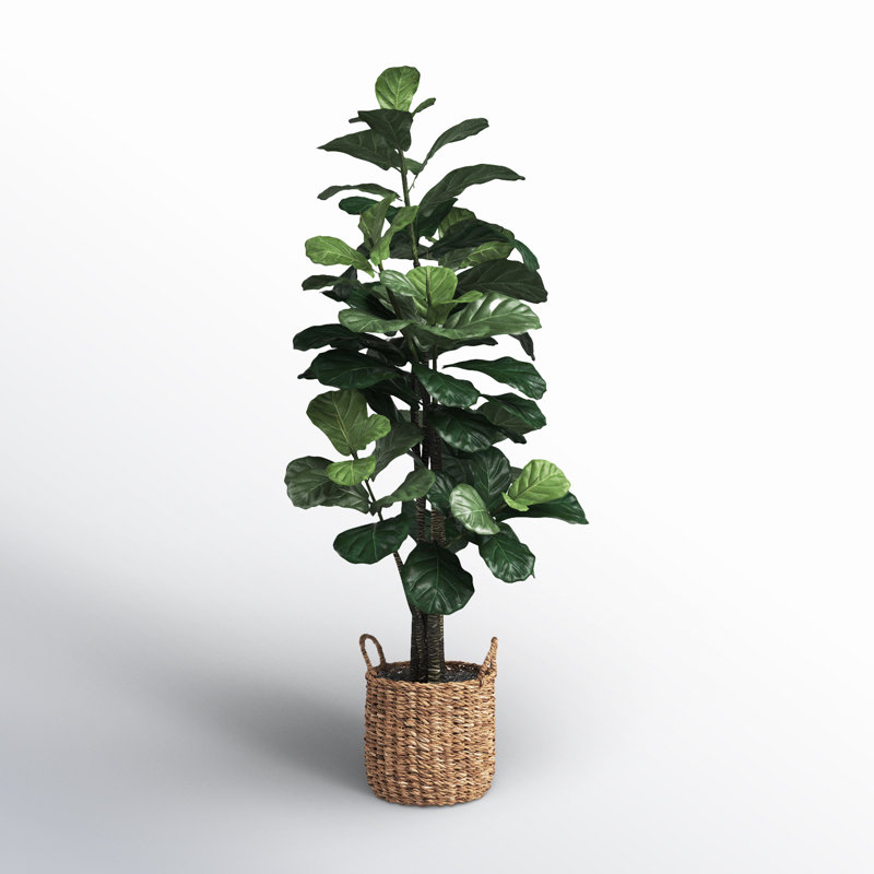 66'' faux fiddle leaf fig tree in wicker/rattan basket