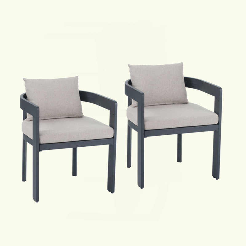 Aluminum Dining Chair, Finished Frame With Cushion, Set Of 2